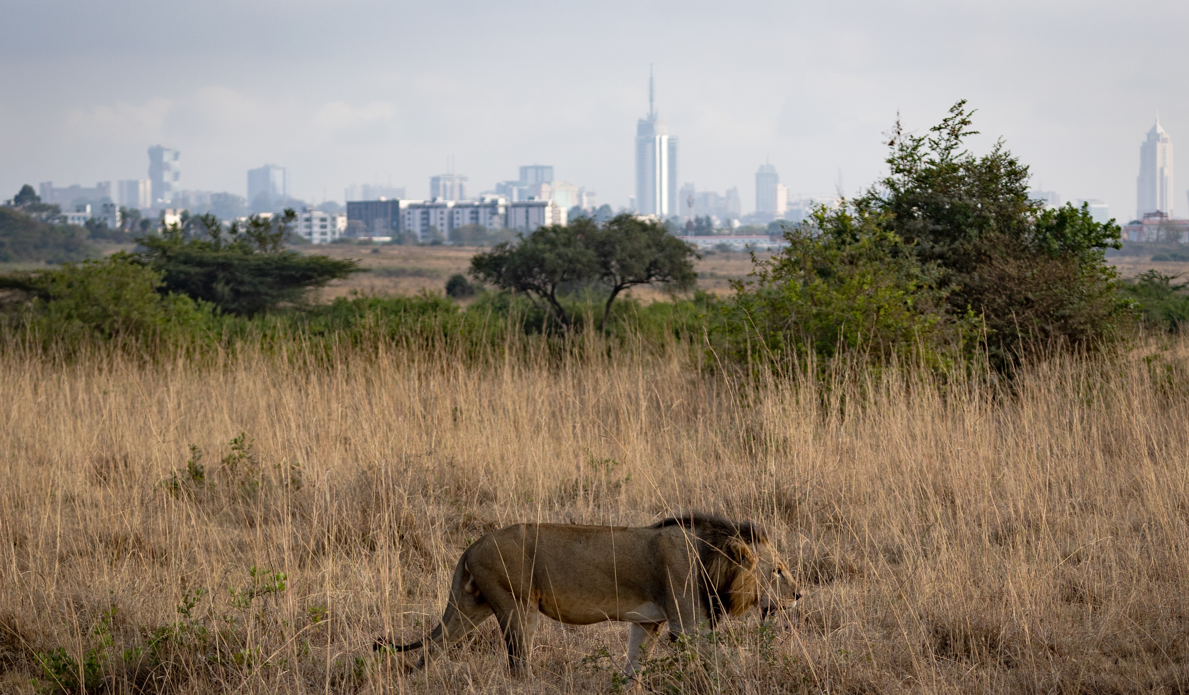 Nairobi